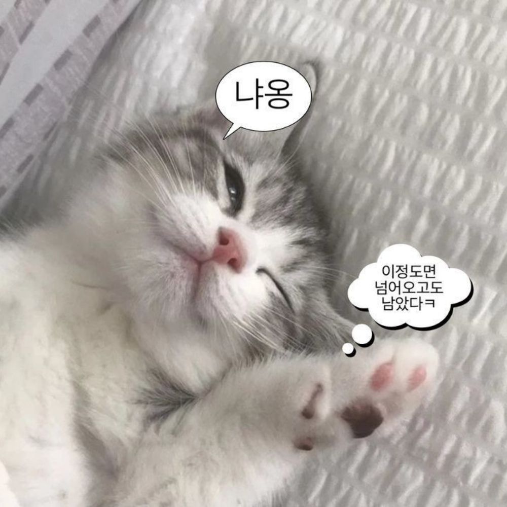 혜서