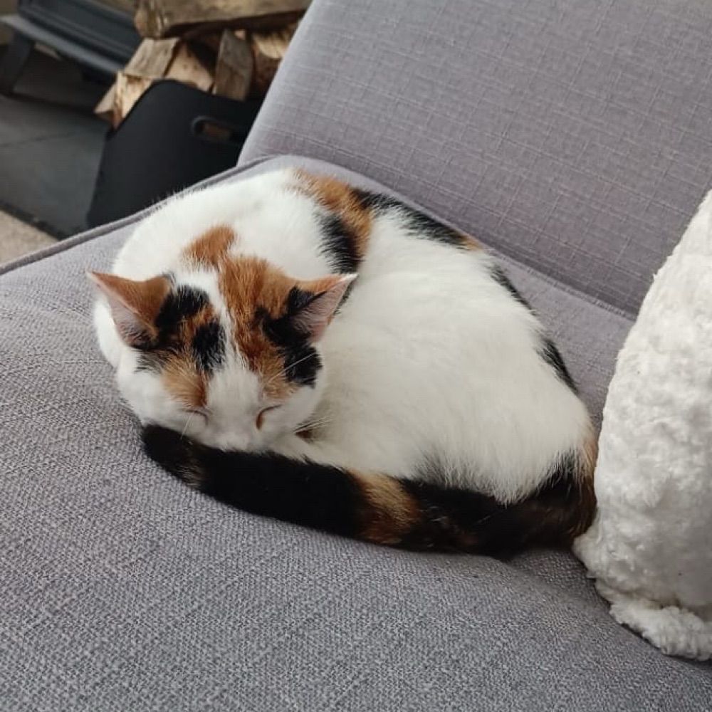 Milly