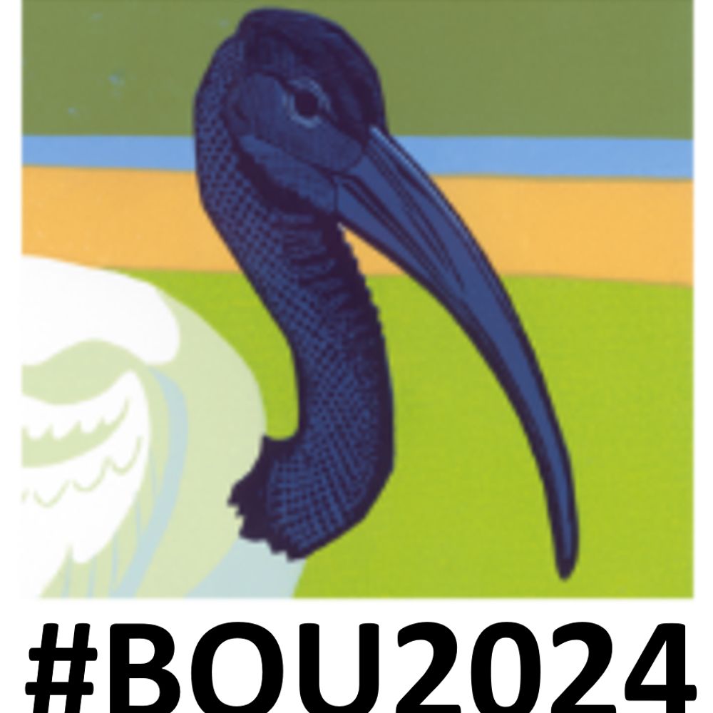 #BOU2024