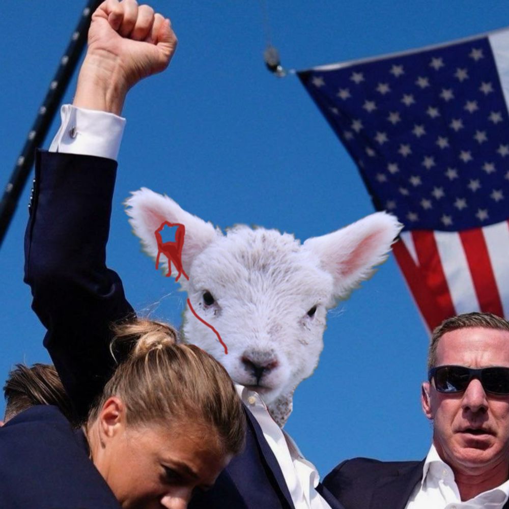 Comrade Lamb