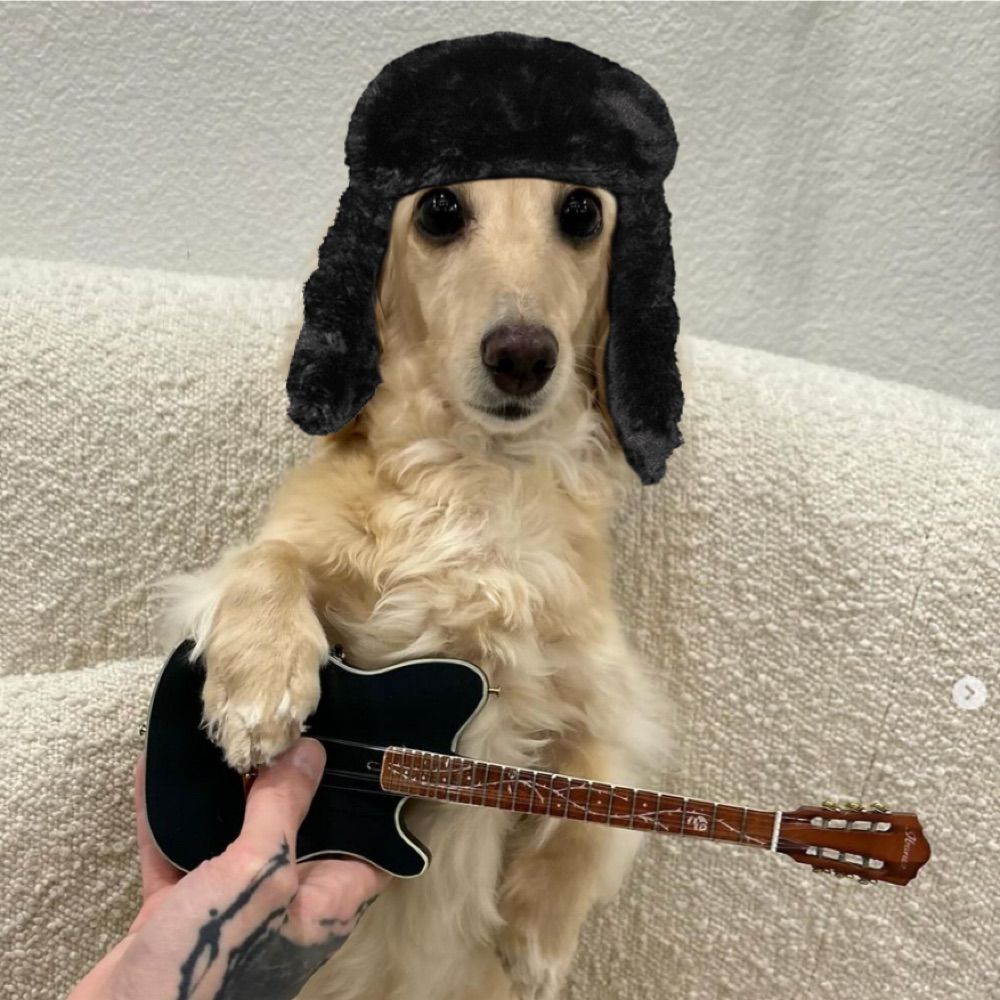 ivan