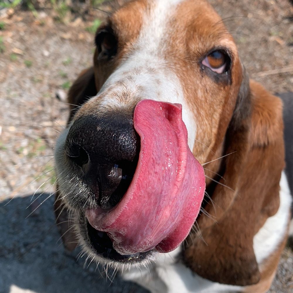 susannemaziarz.bsky.social