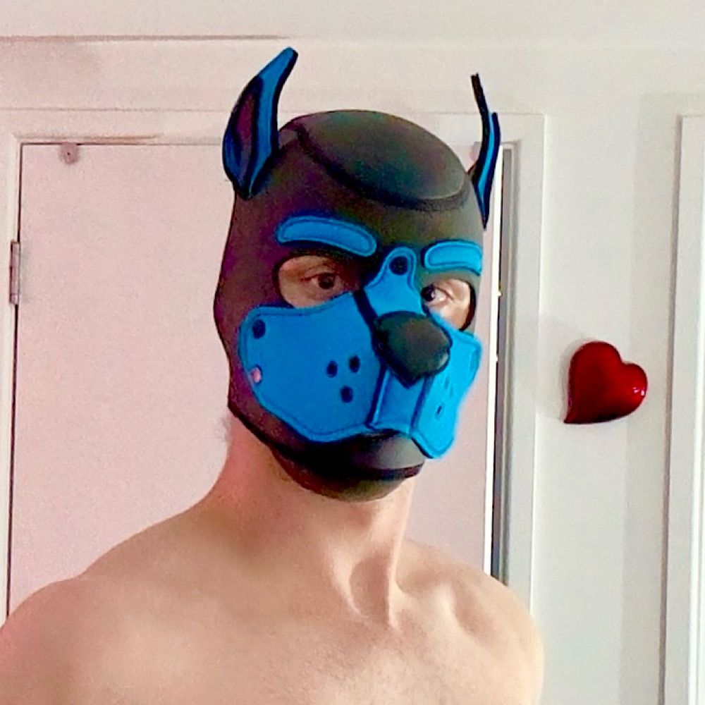 Pup Chase