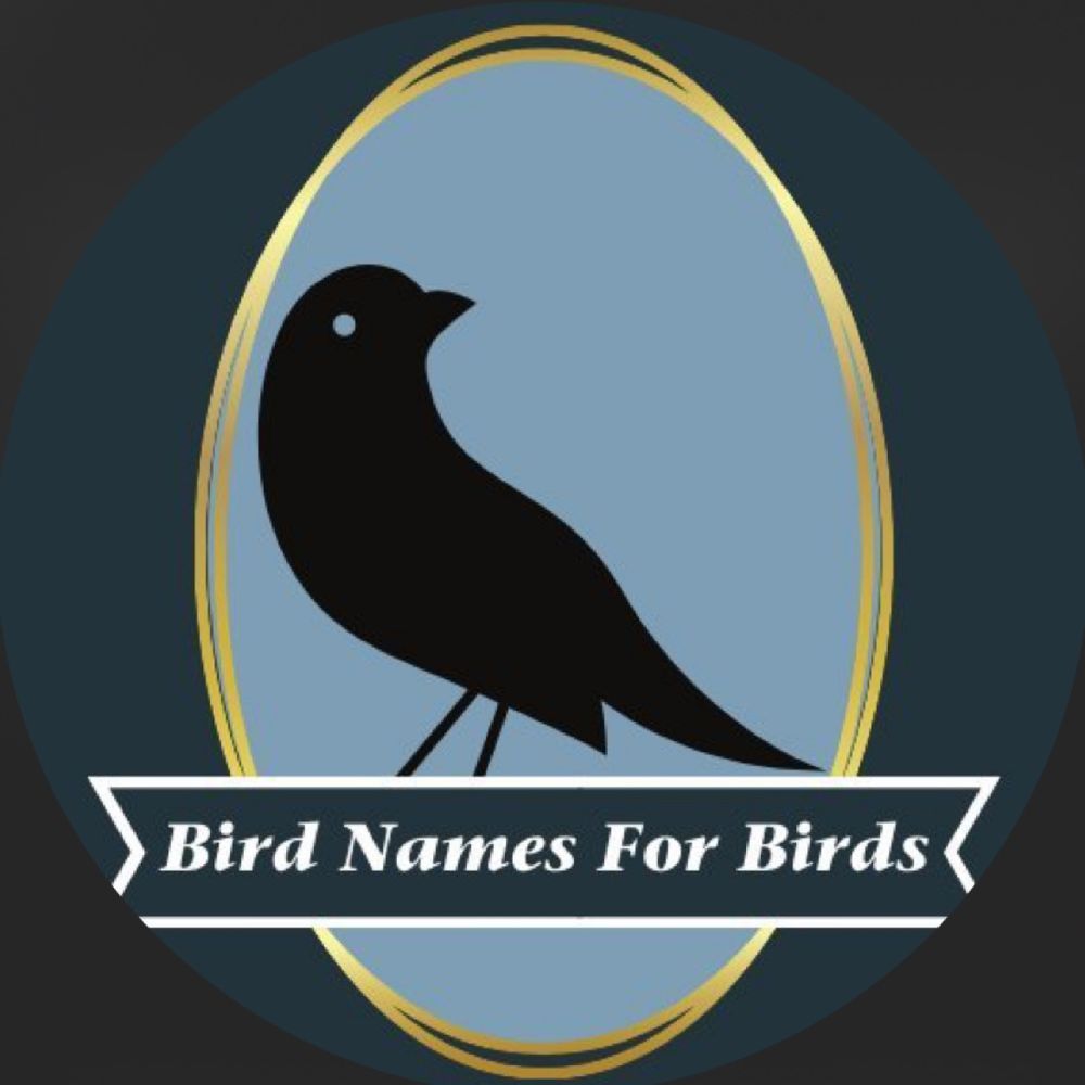 Bird Names for Birds