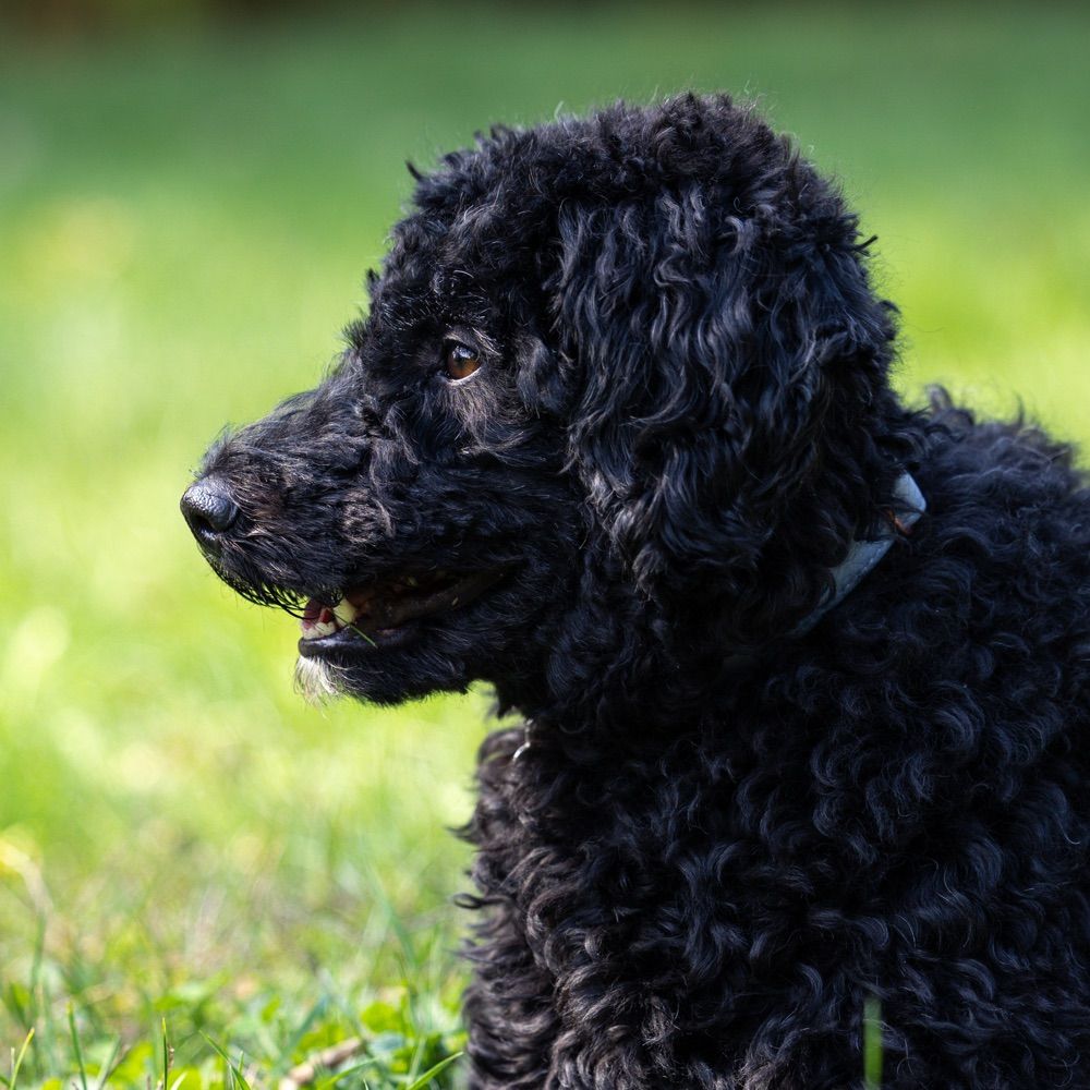 zjbecker.bsky.social