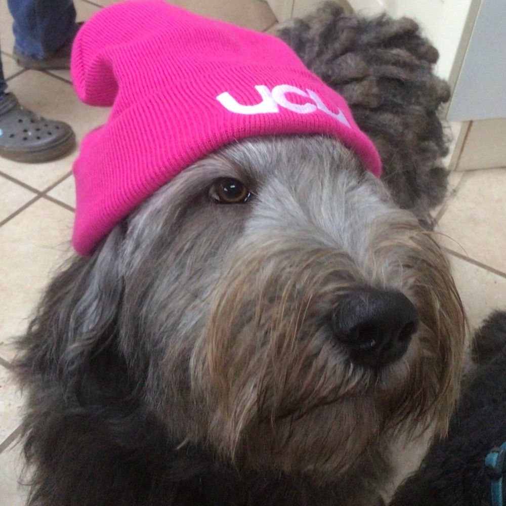 Cardiff Met UCU Met Caerdydd