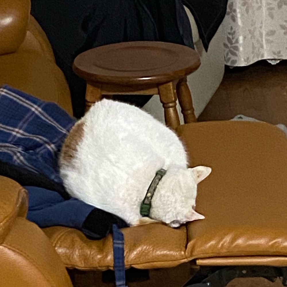 そいそーす