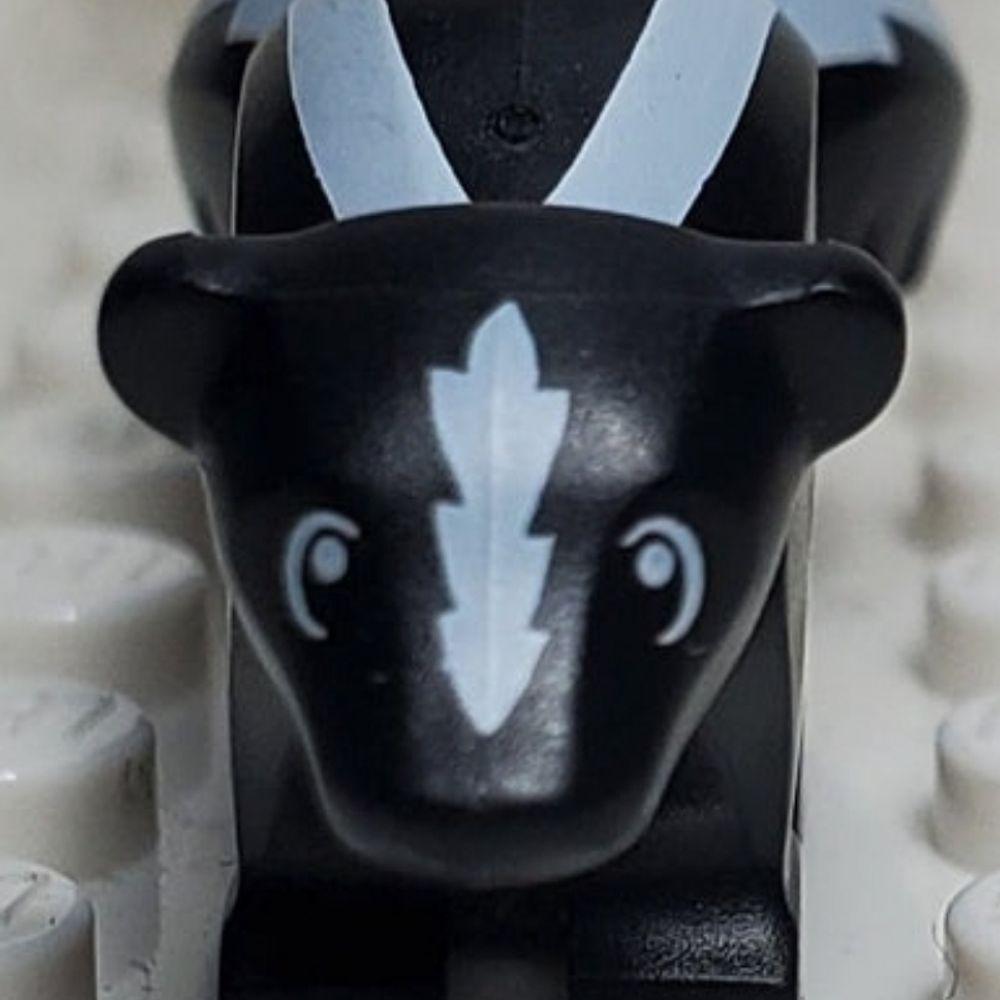 techyskunk
