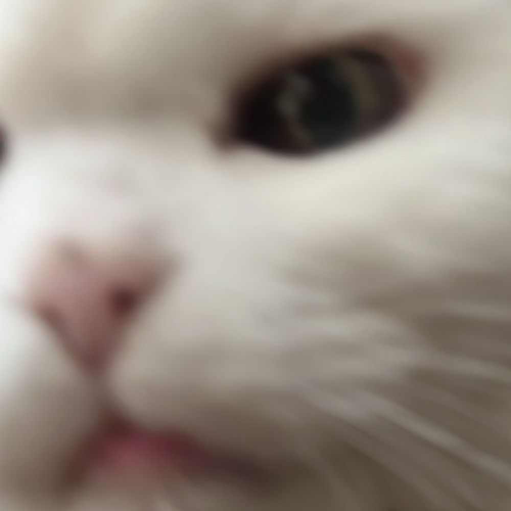 li