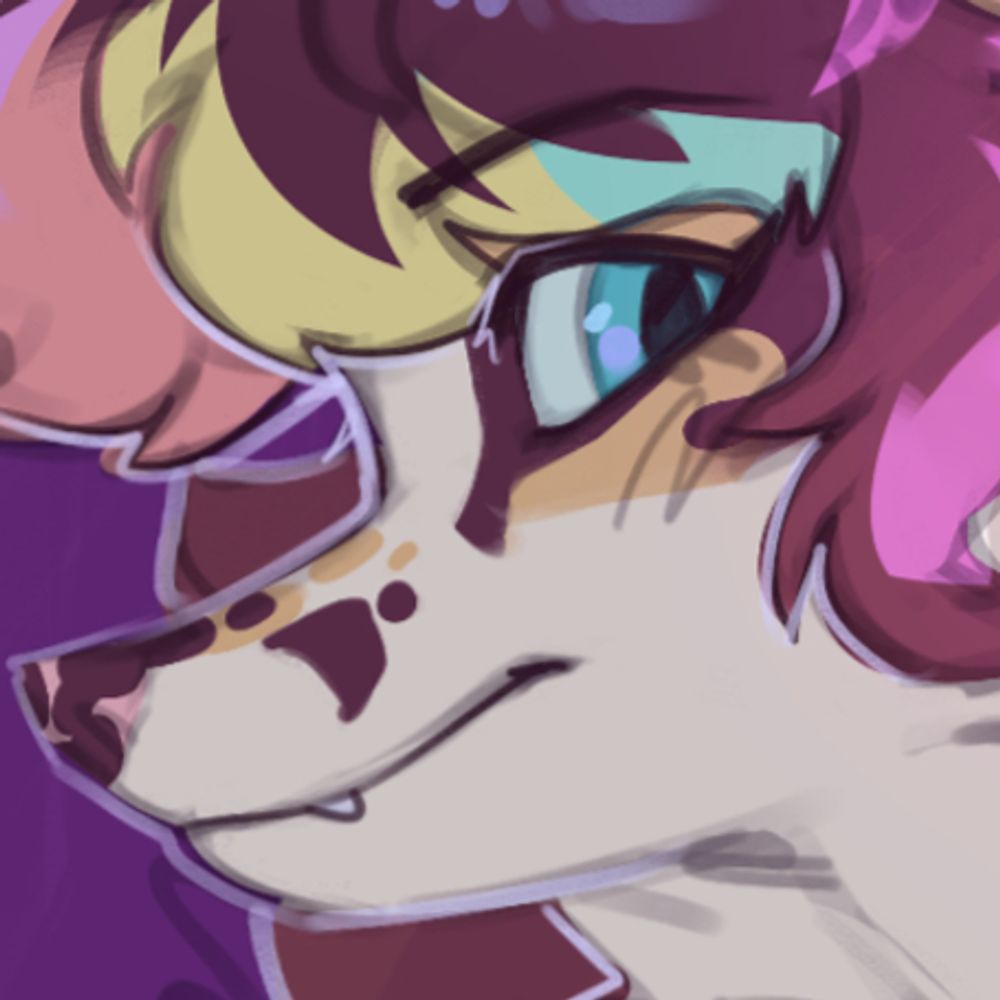 ✨KOIRA✨