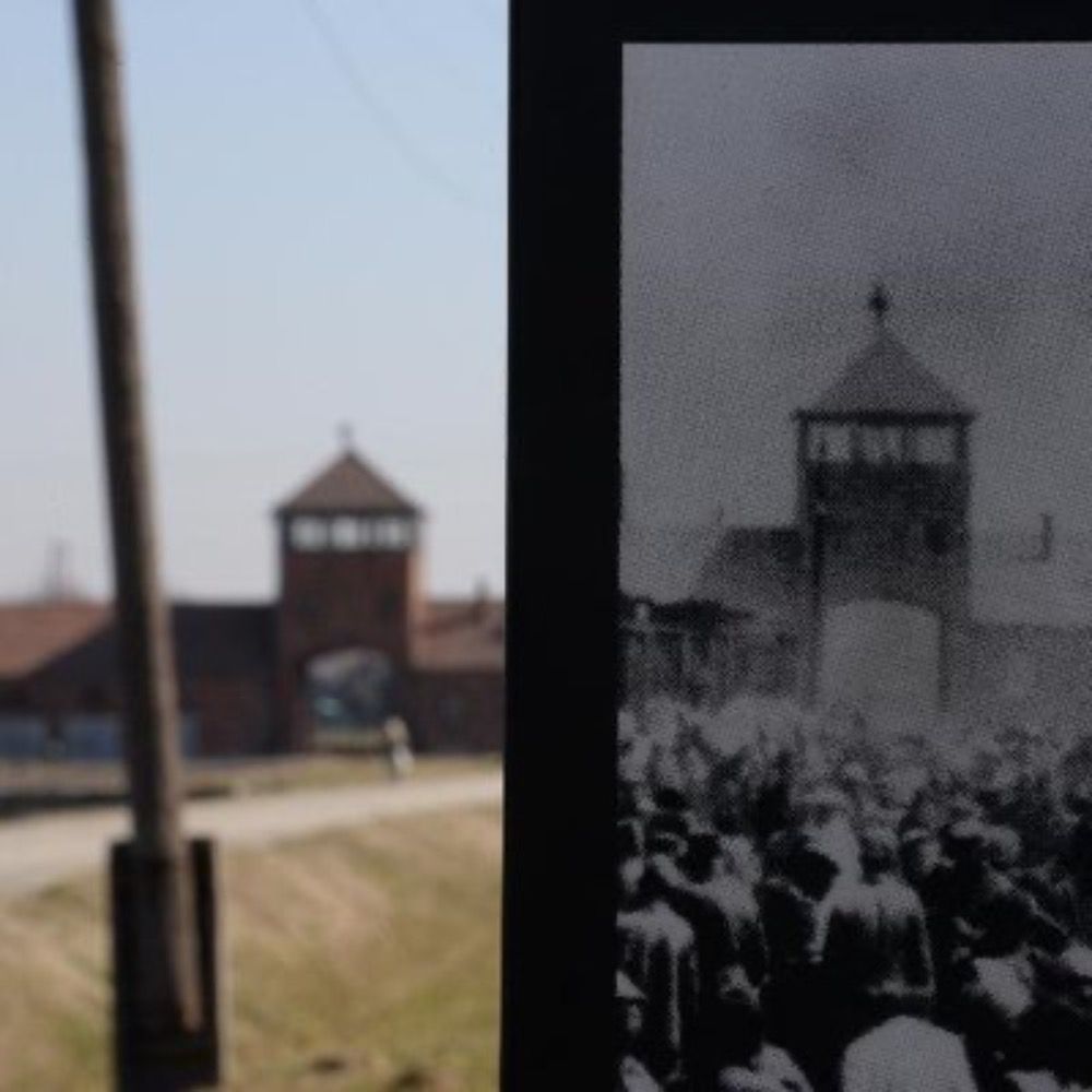 Profile picture auschwitzmemorial.bsky.social