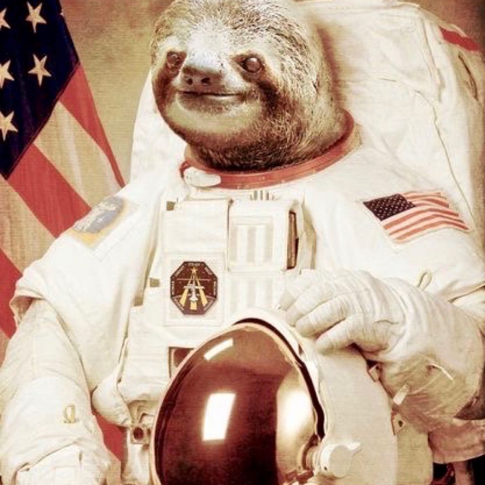 TheDarthSloth