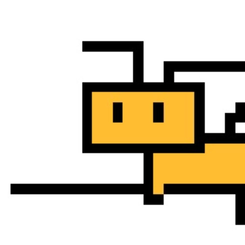 あやめ