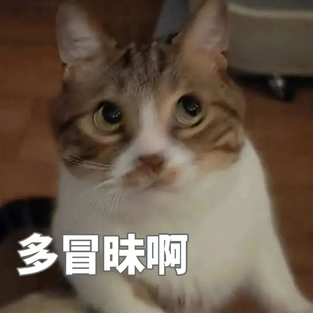 下一位业界大姥