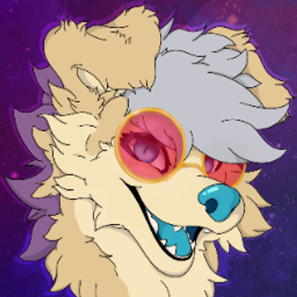 Dingo Time