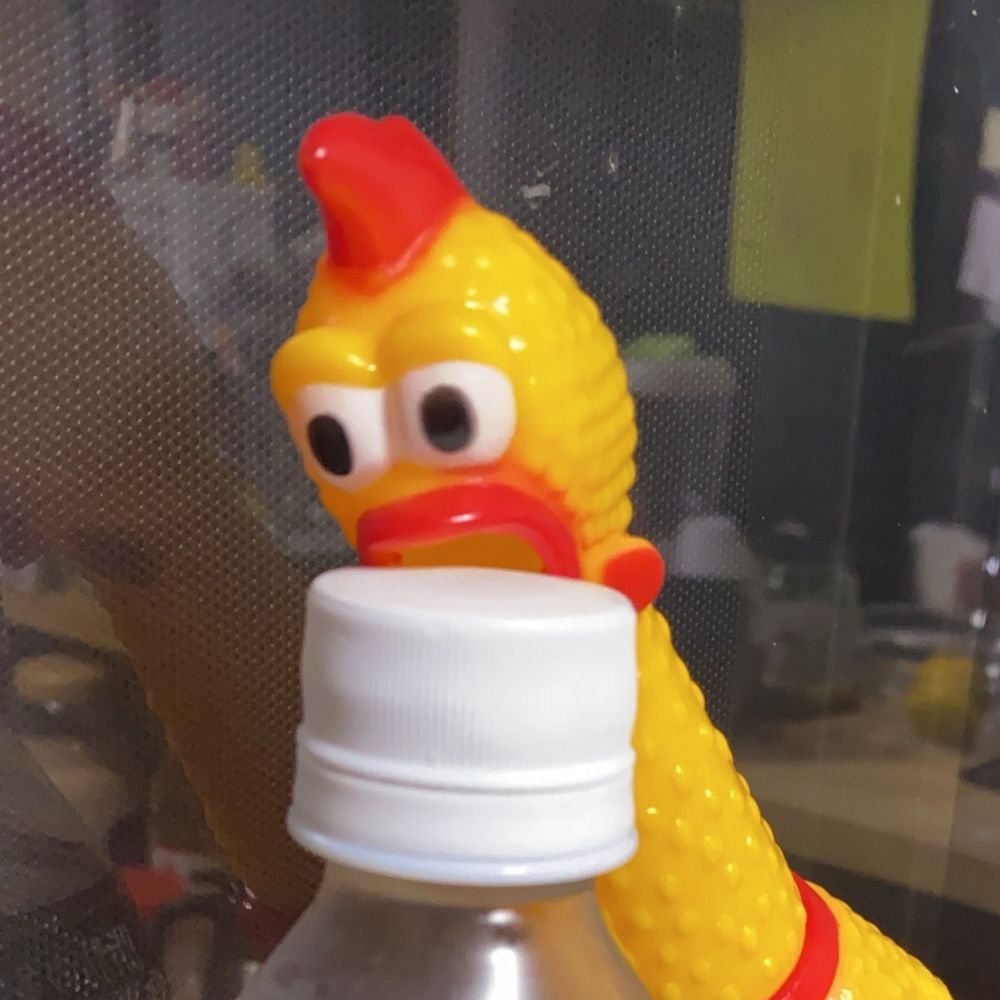 ボブ