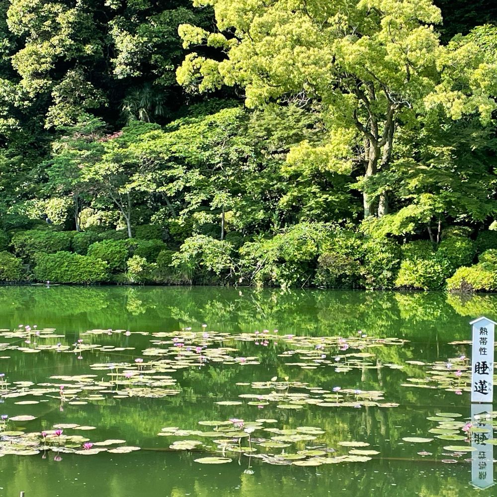 時村