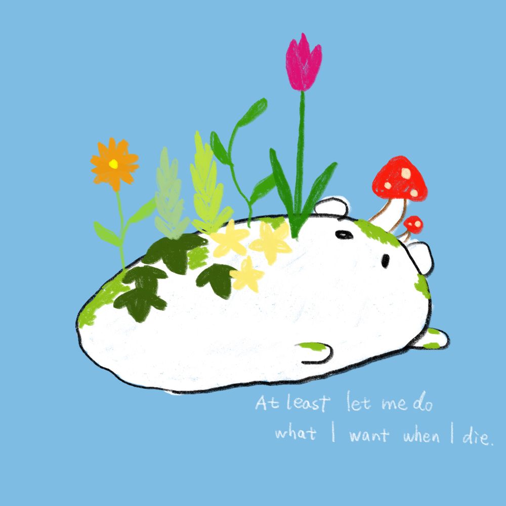 ひらめ