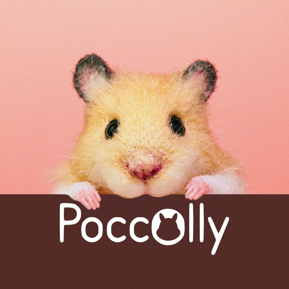 Poccolly 天野川絲乙/ｱﾏﾉｶﾞﾜｲﾄ