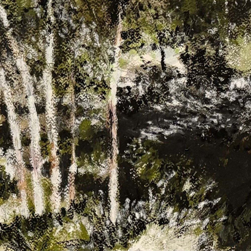 Carol Archer