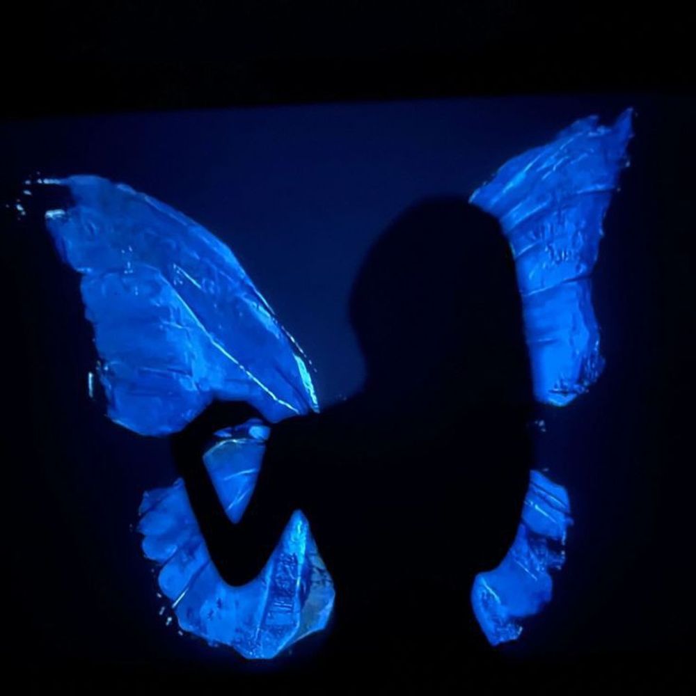 🦋