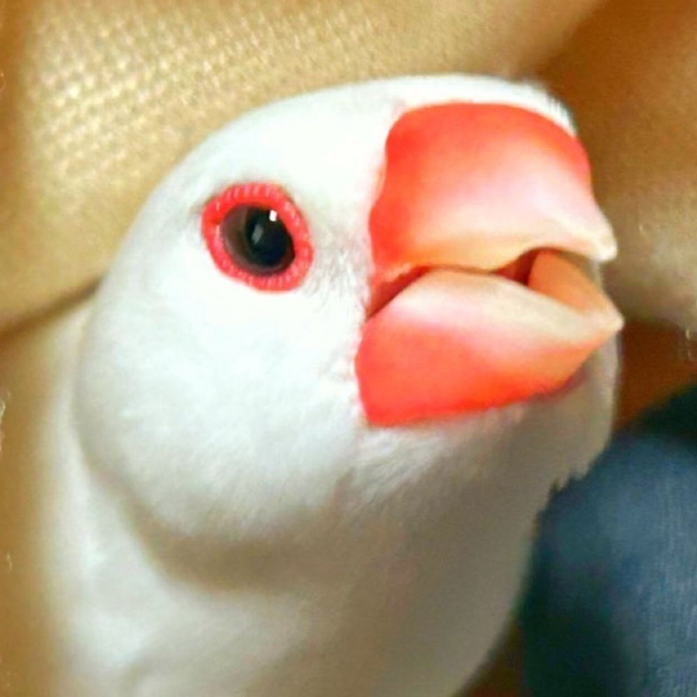 ちあきち