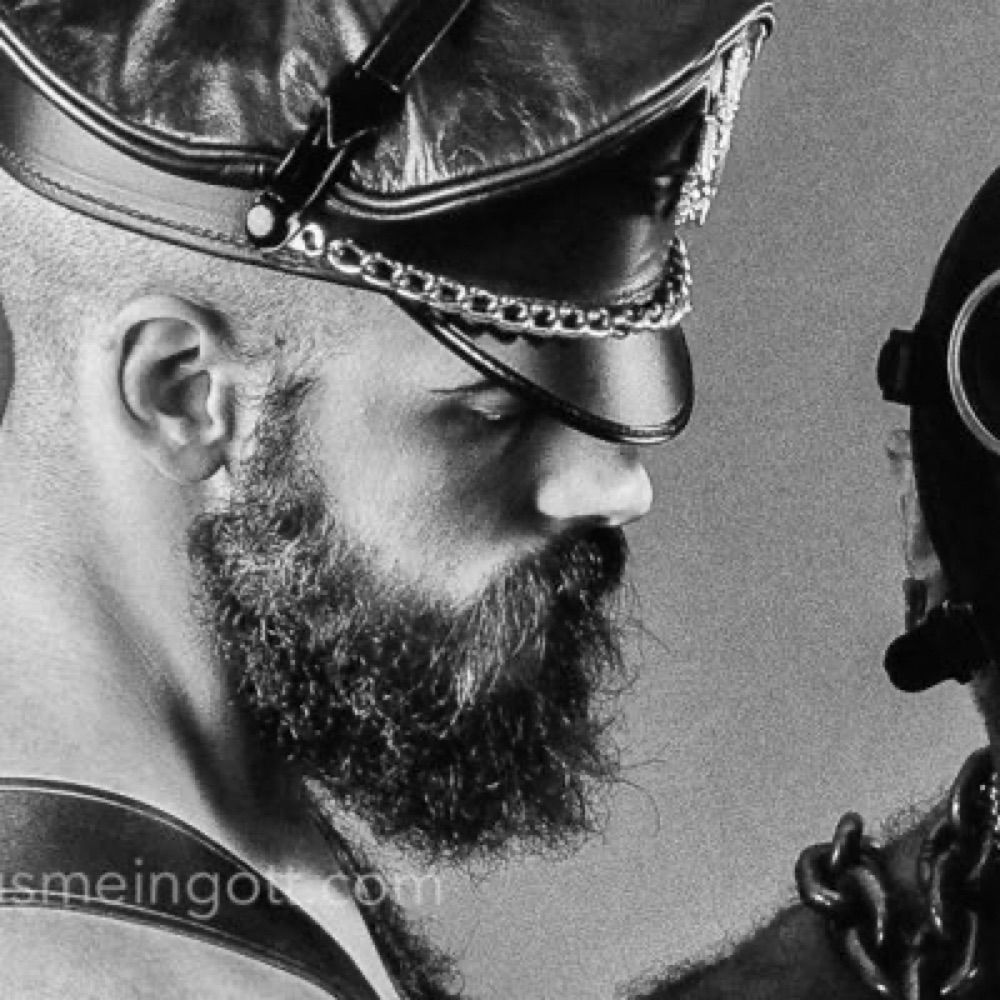 LeatherBigWolf