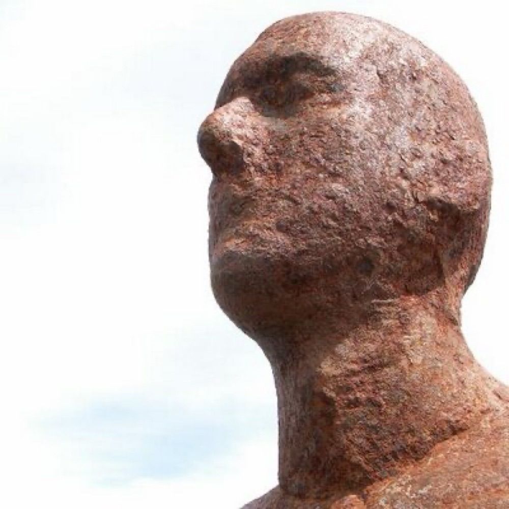 Roger McLoughlin
