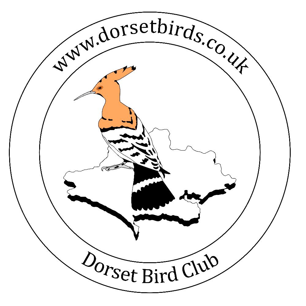 Dorset Bird Club