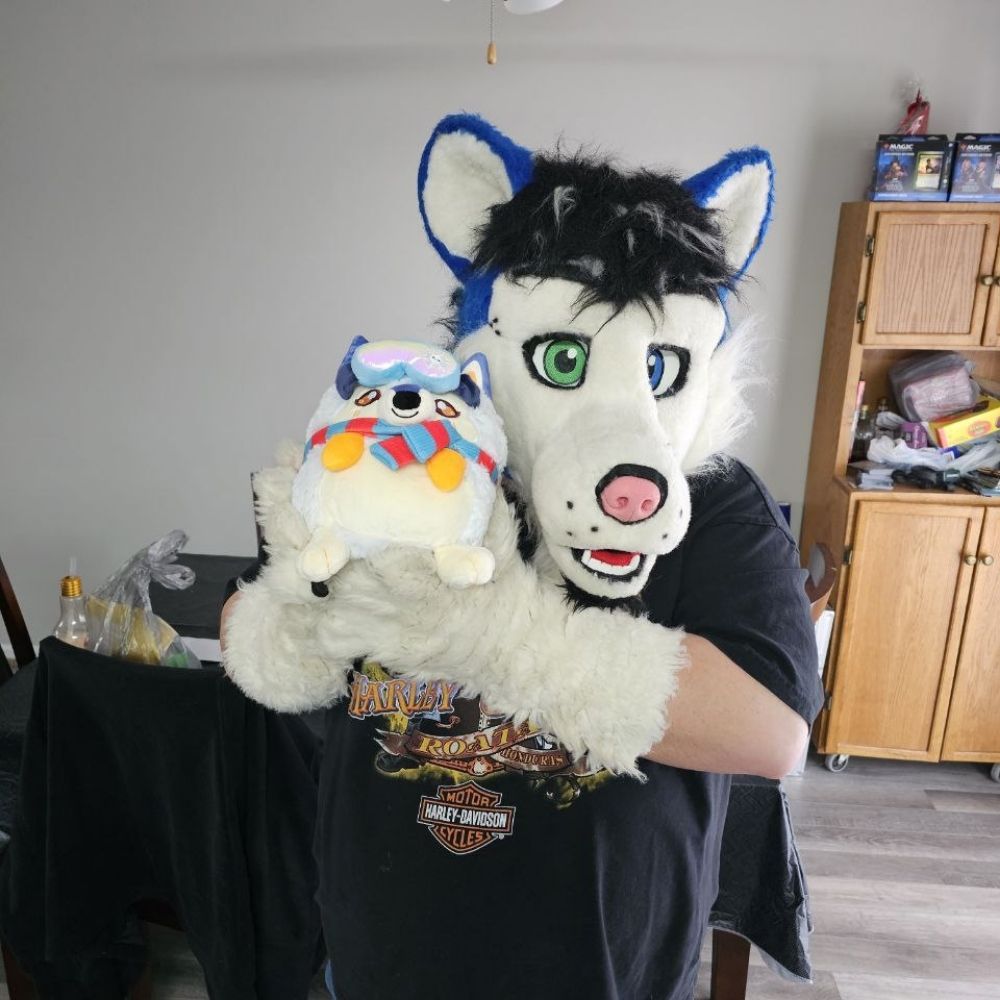 JJ Husky