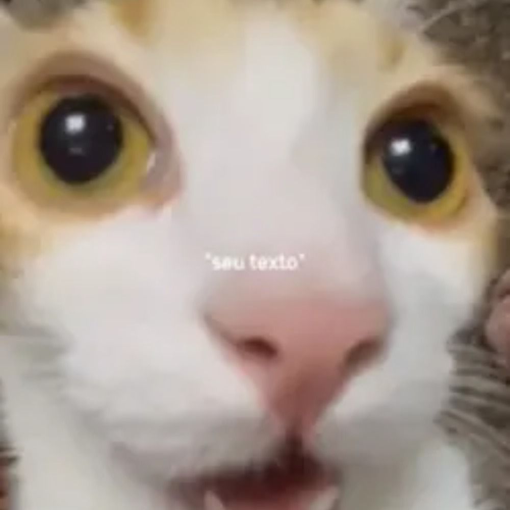 Kapi!!!!!