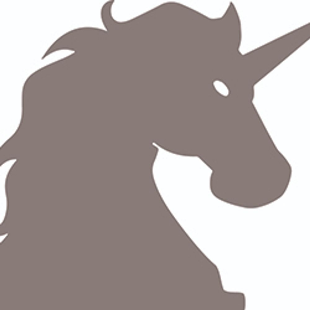 The Silver Unicorn Bookstore
