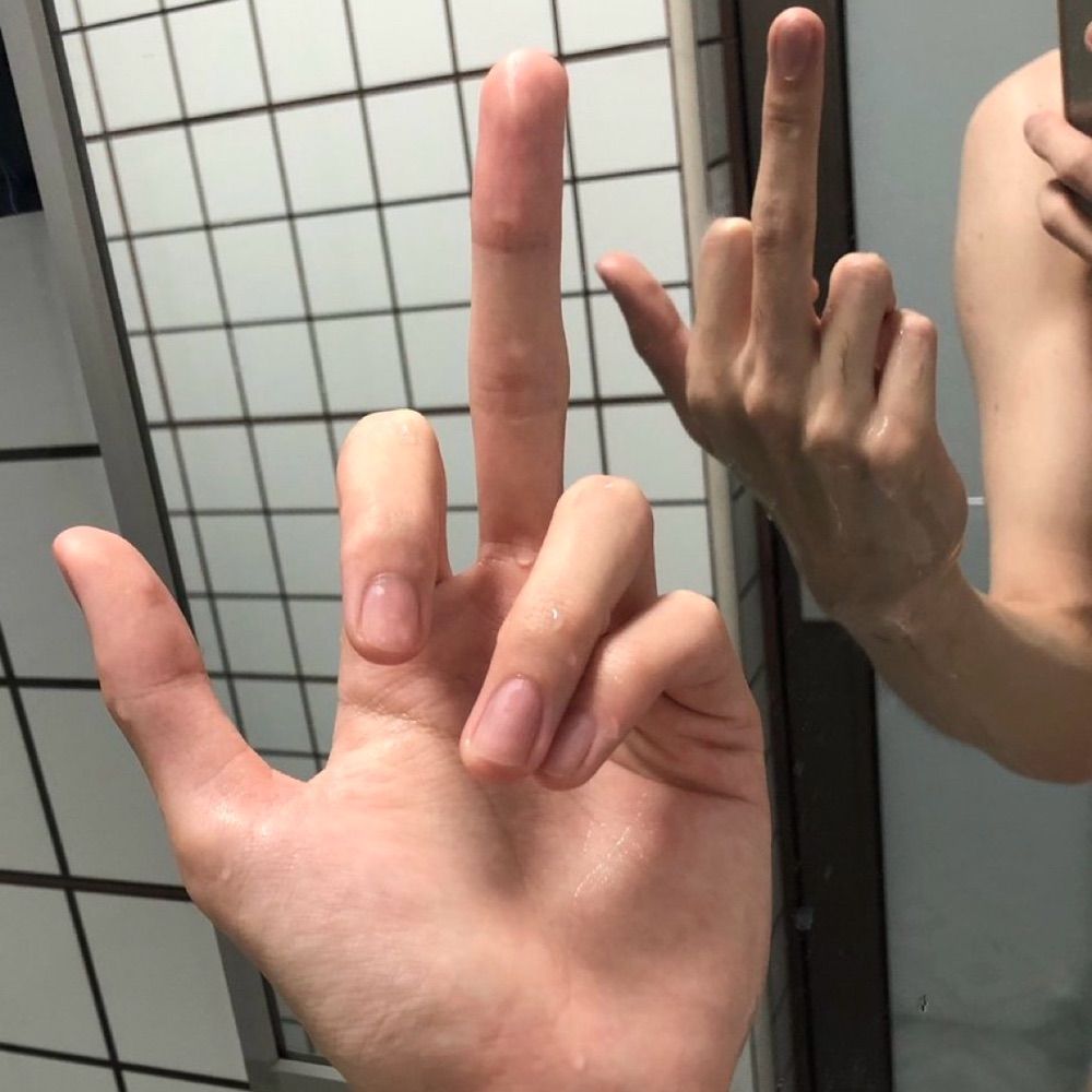 你怎么也有牛牛🐮