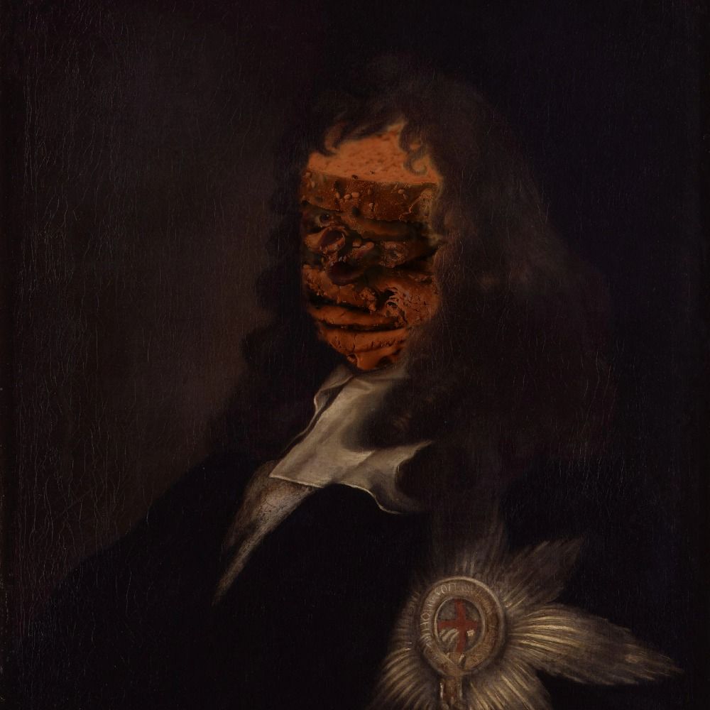 Conceptus