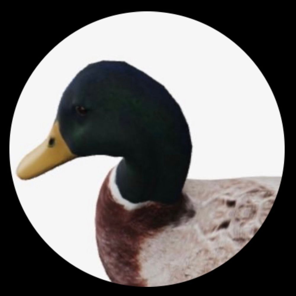きよ