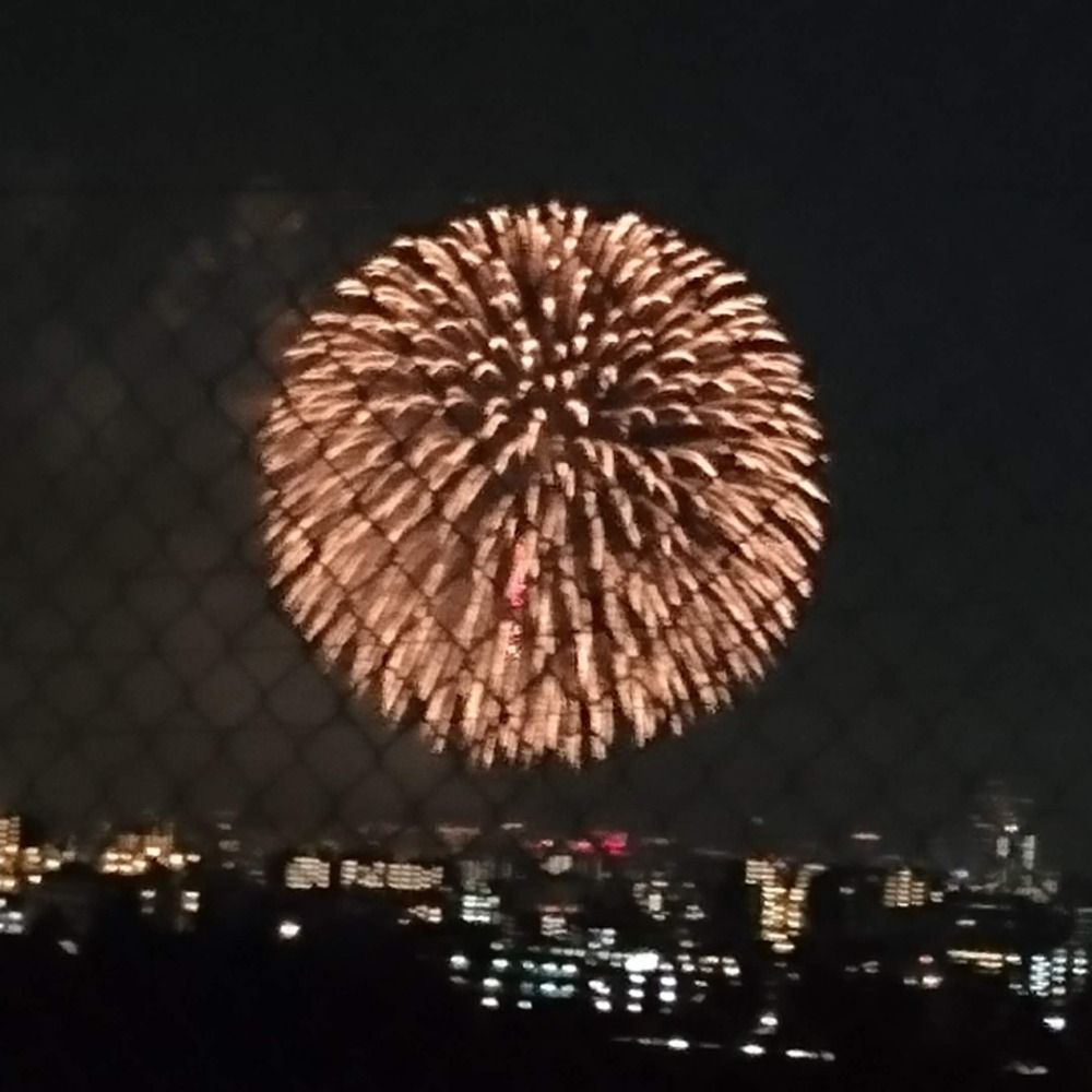 kaya（火夜）