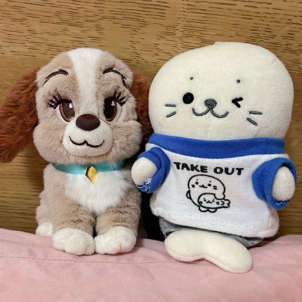 こみよ