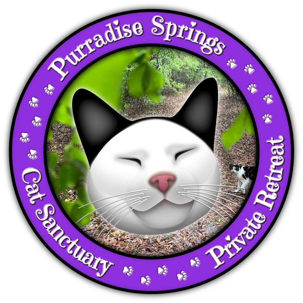 Purradise😻Springs