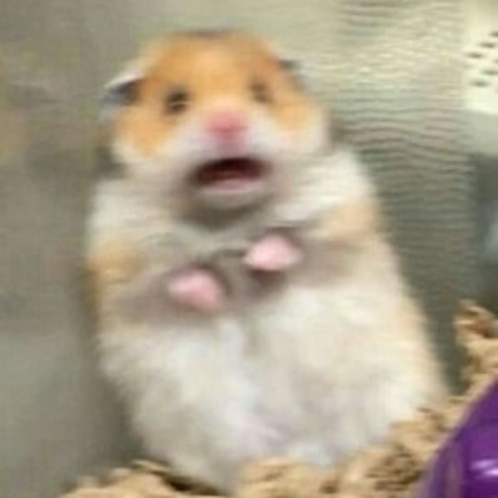 메모지