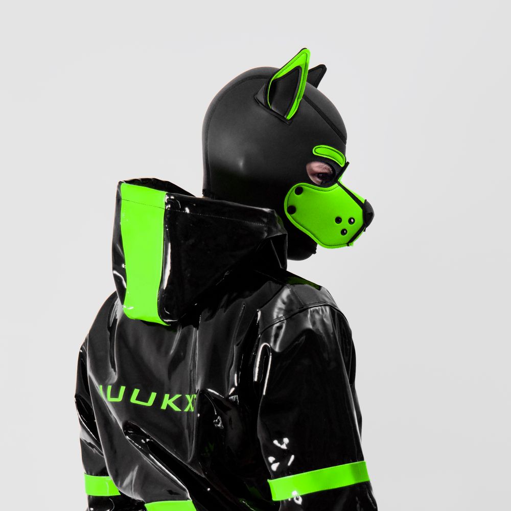 Milo 🐾💚