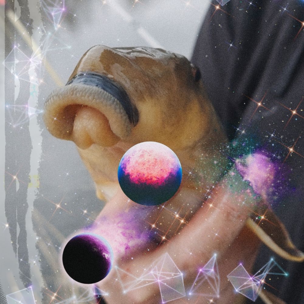 CosmicFish