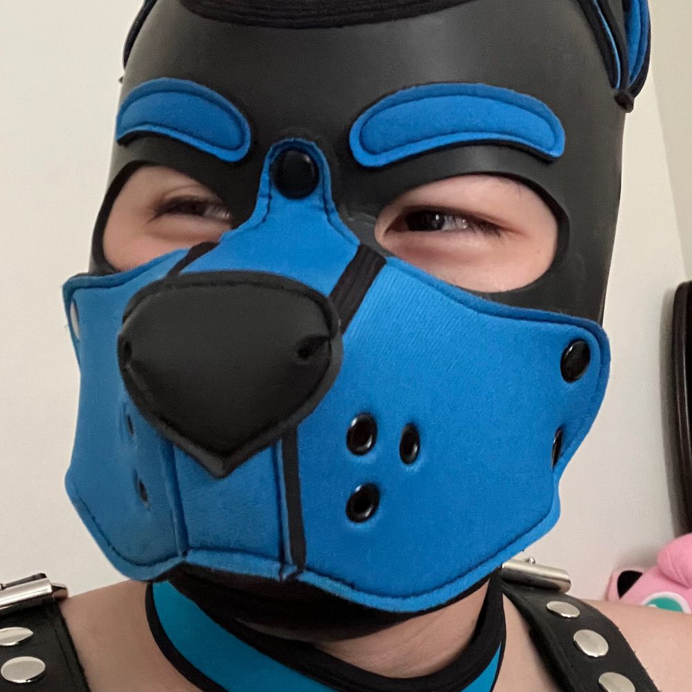 PupSeaSalt