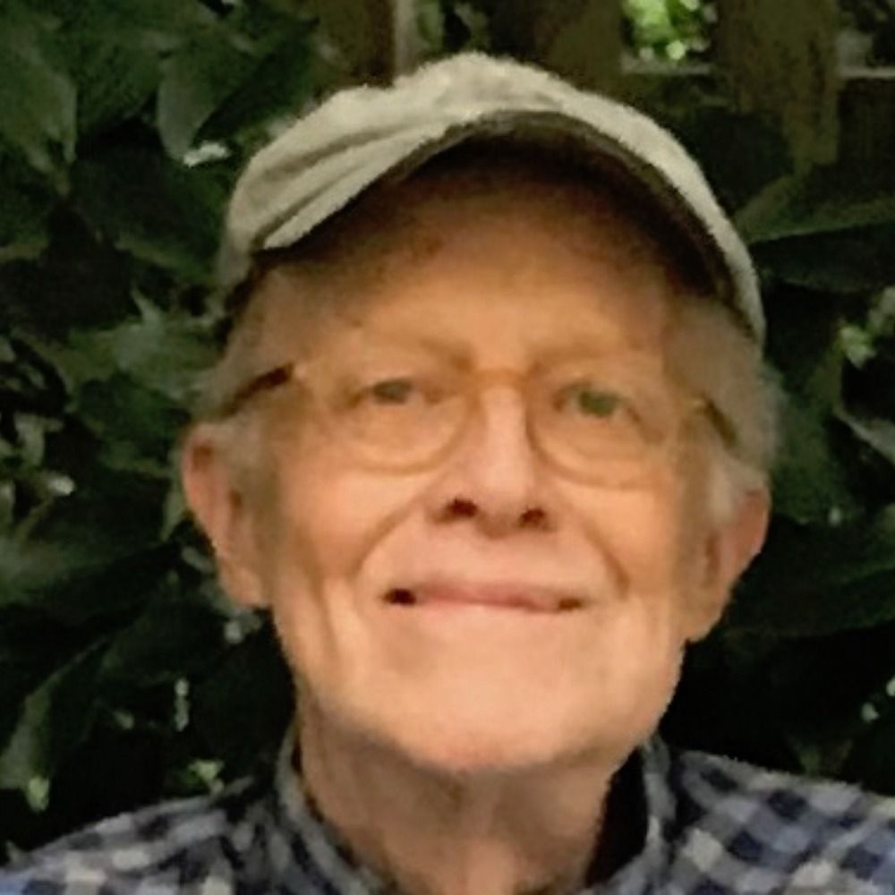 David Stipp