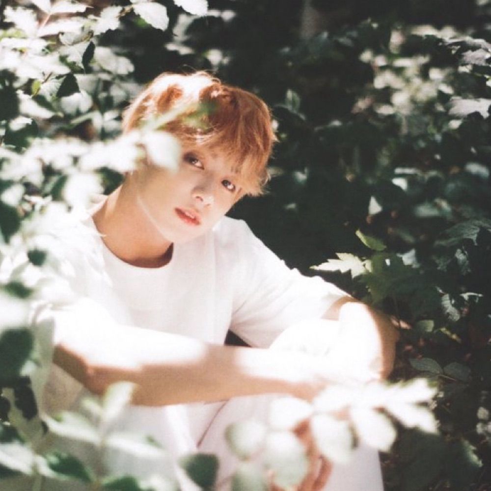 ♡ hourly jungkook ♡