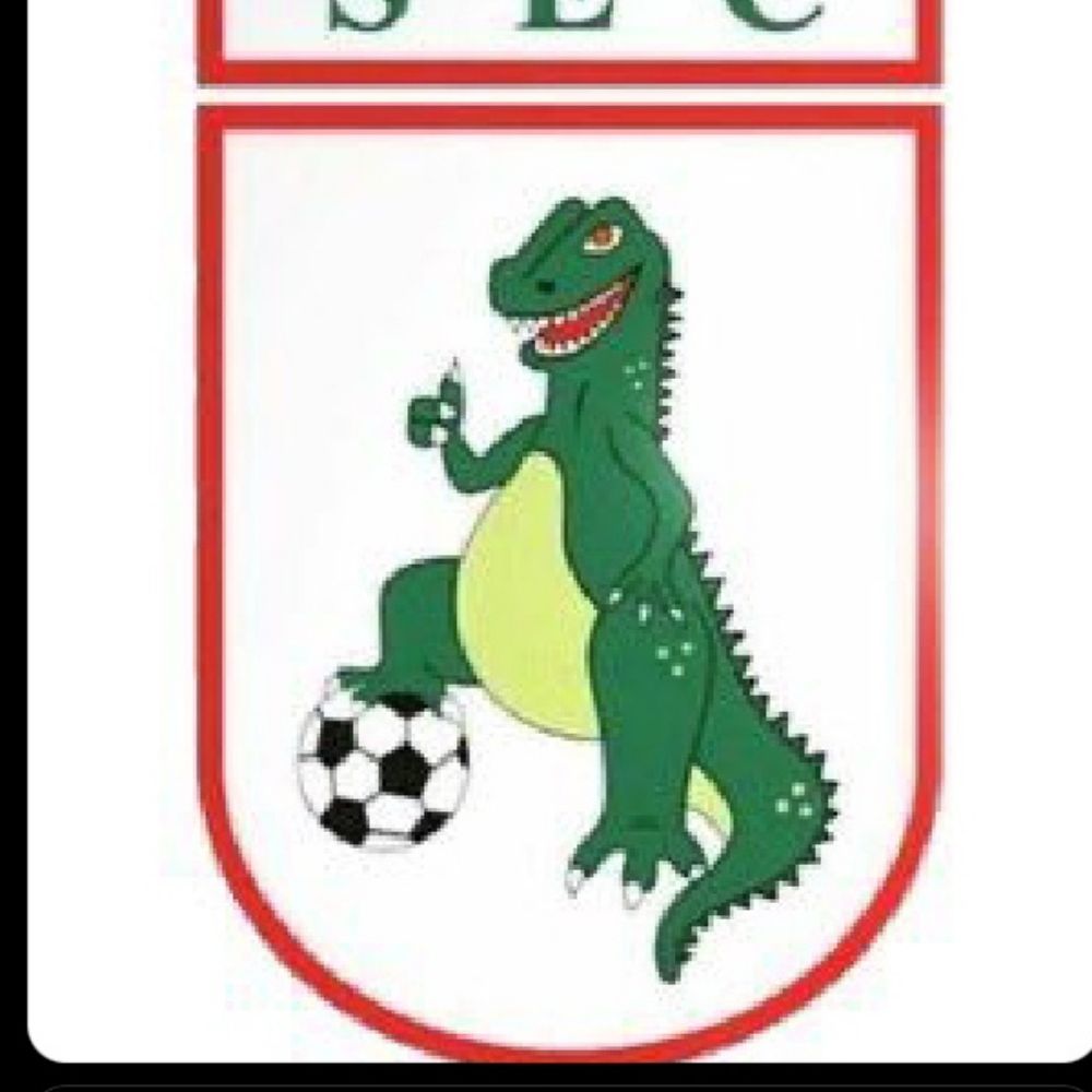 pedro dinocam🦖🇵🇹