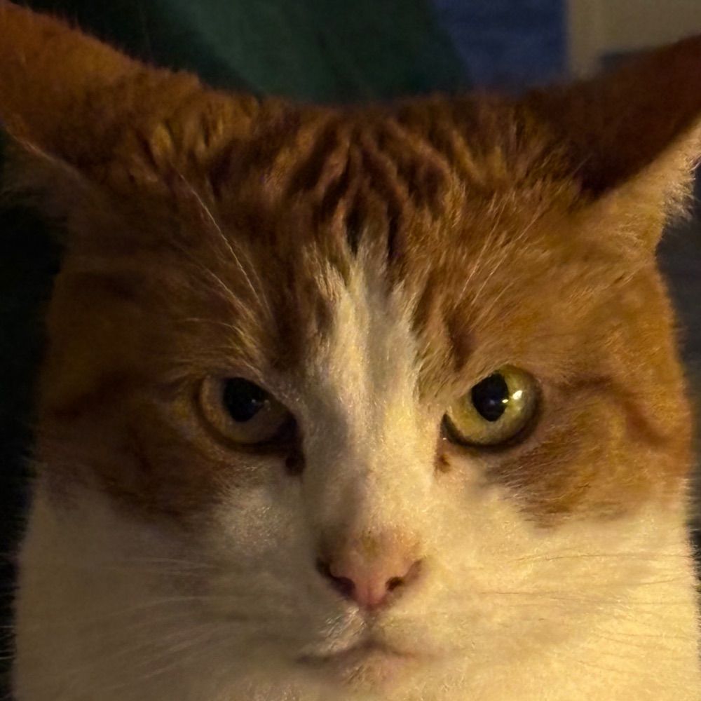 Erik