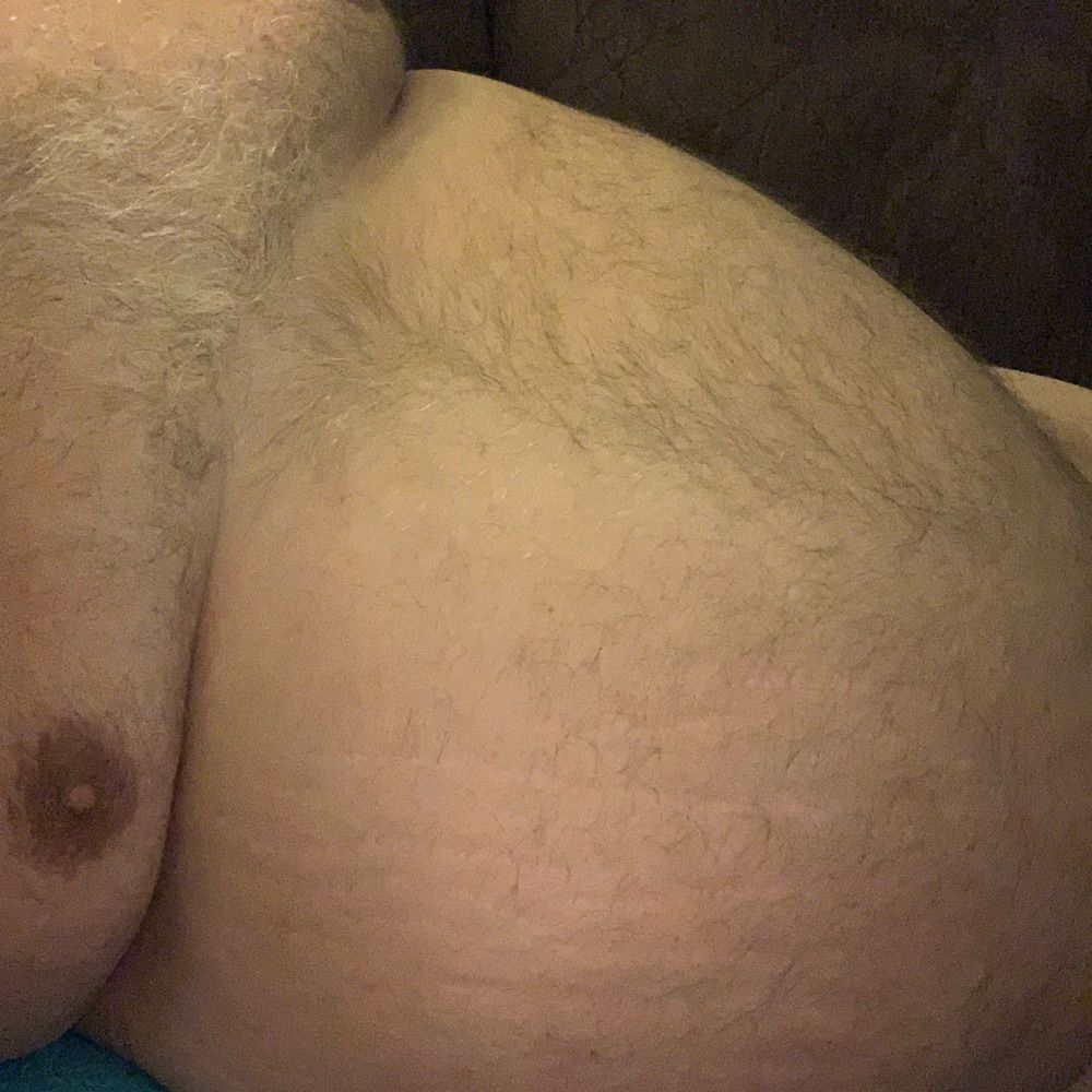 Chubby Daddy Bear for Chaser