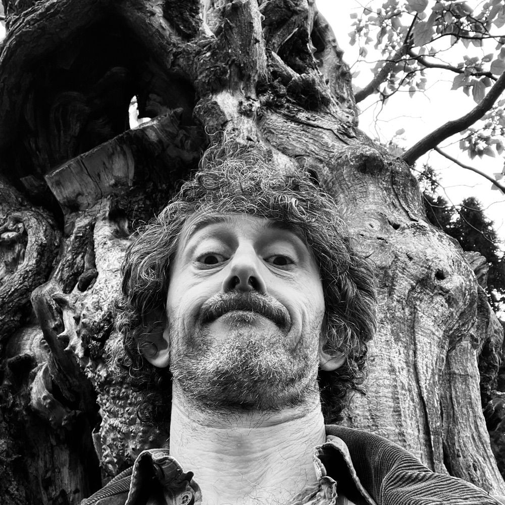 Yannick Schall
