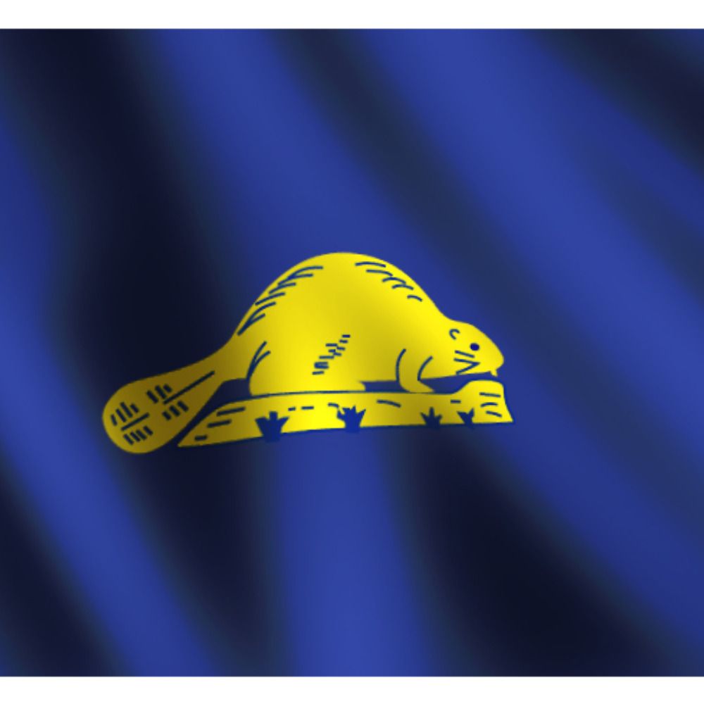 The Oregon Phenomenon