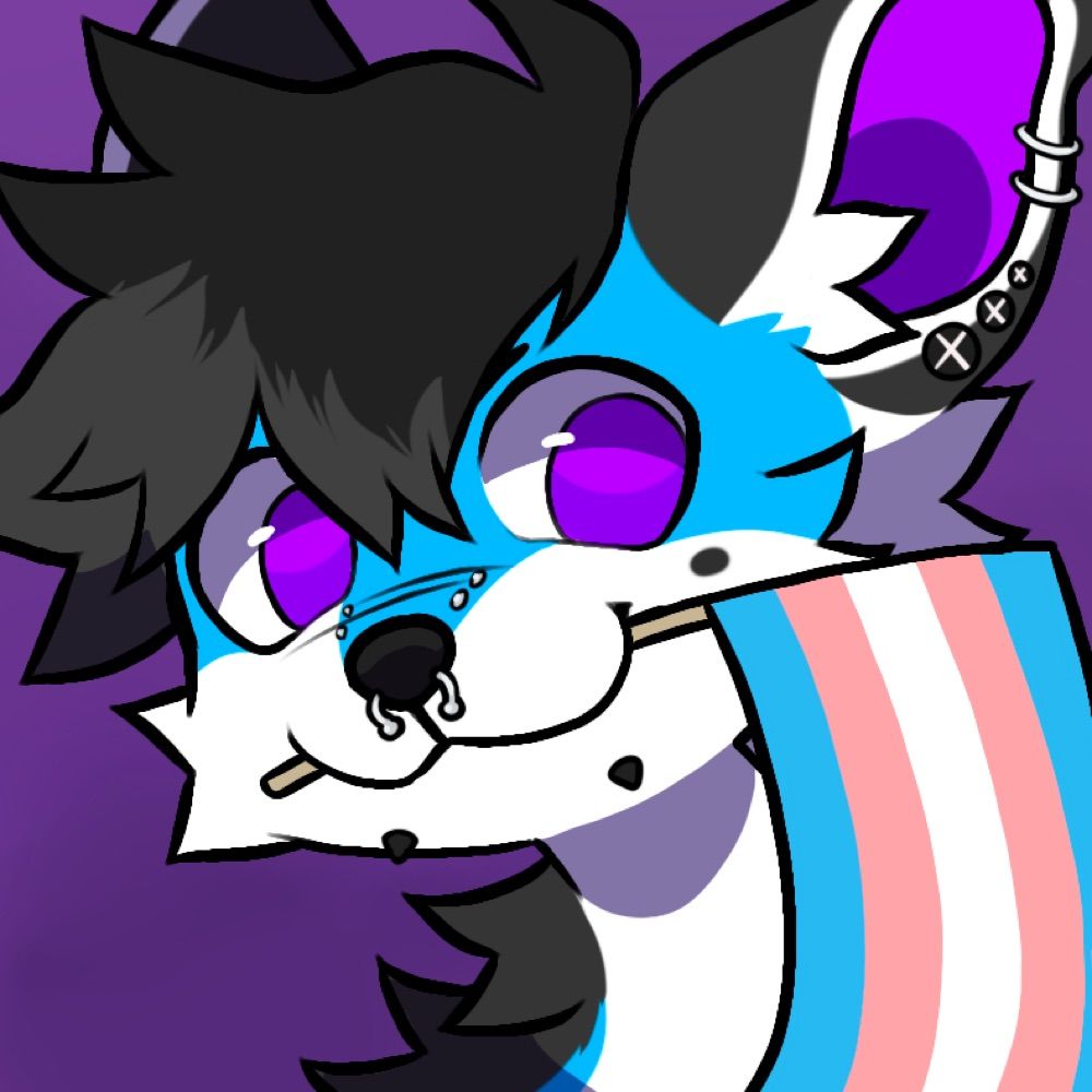 💜BlizzTheFolf💙